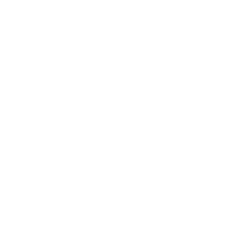 ZDW Studio Logo